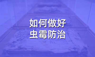 檔案修復(fù)后，如何做好蟲霉防治